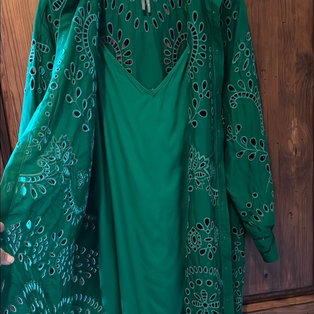 EUC By Anthropologie Green Eyelet Button Down Shirt Mini Dress - Picture 8 of 17